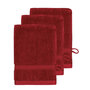 Voir la diapositive 1 : Sensei Maison Lot de 3 gants de toilette 600 g/m² SENSILK - 16x22 cm