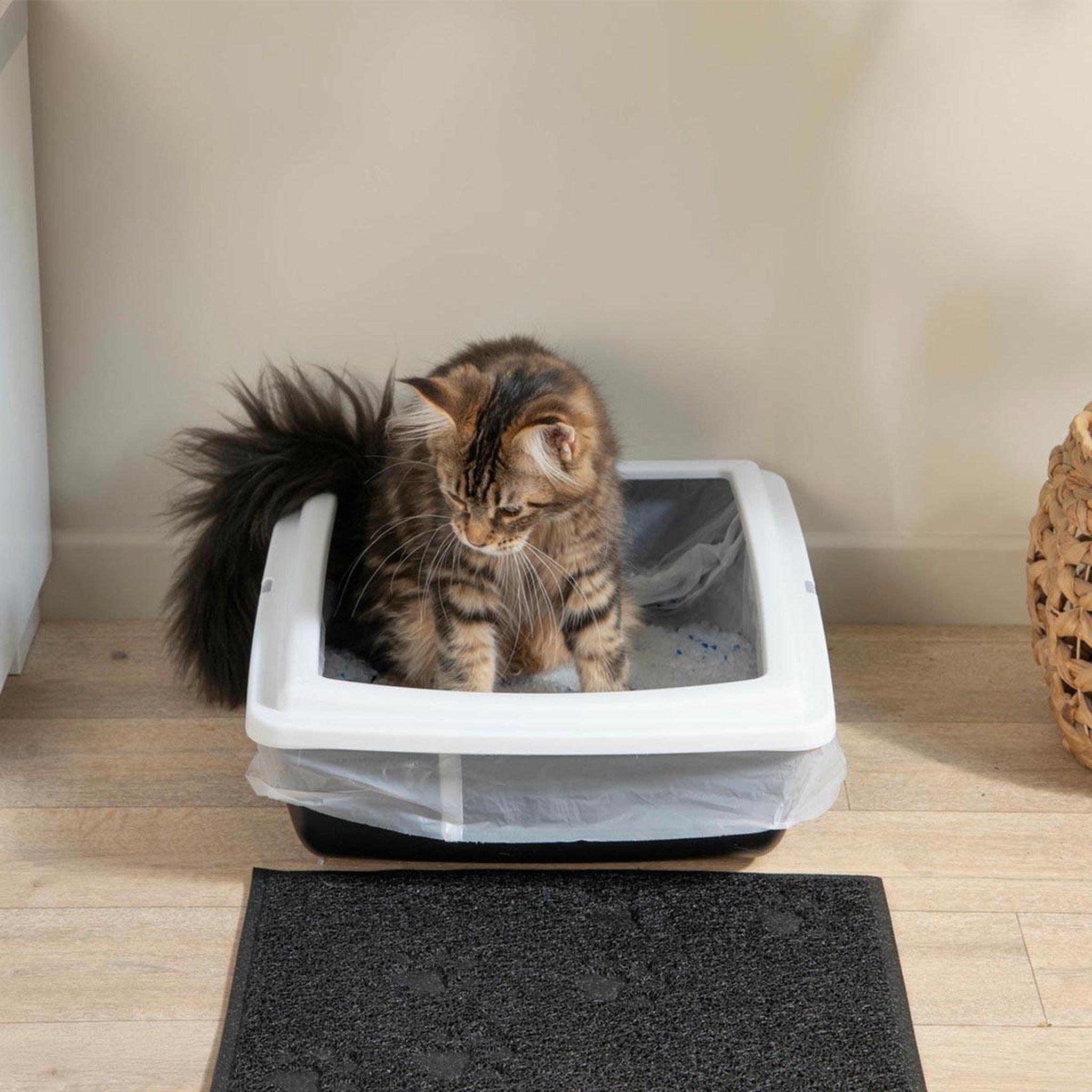 Voir la diapositive 3 : LOVE STORY Bac à Litière pour Chat  Bicolore  46cm Gris & Ivoire