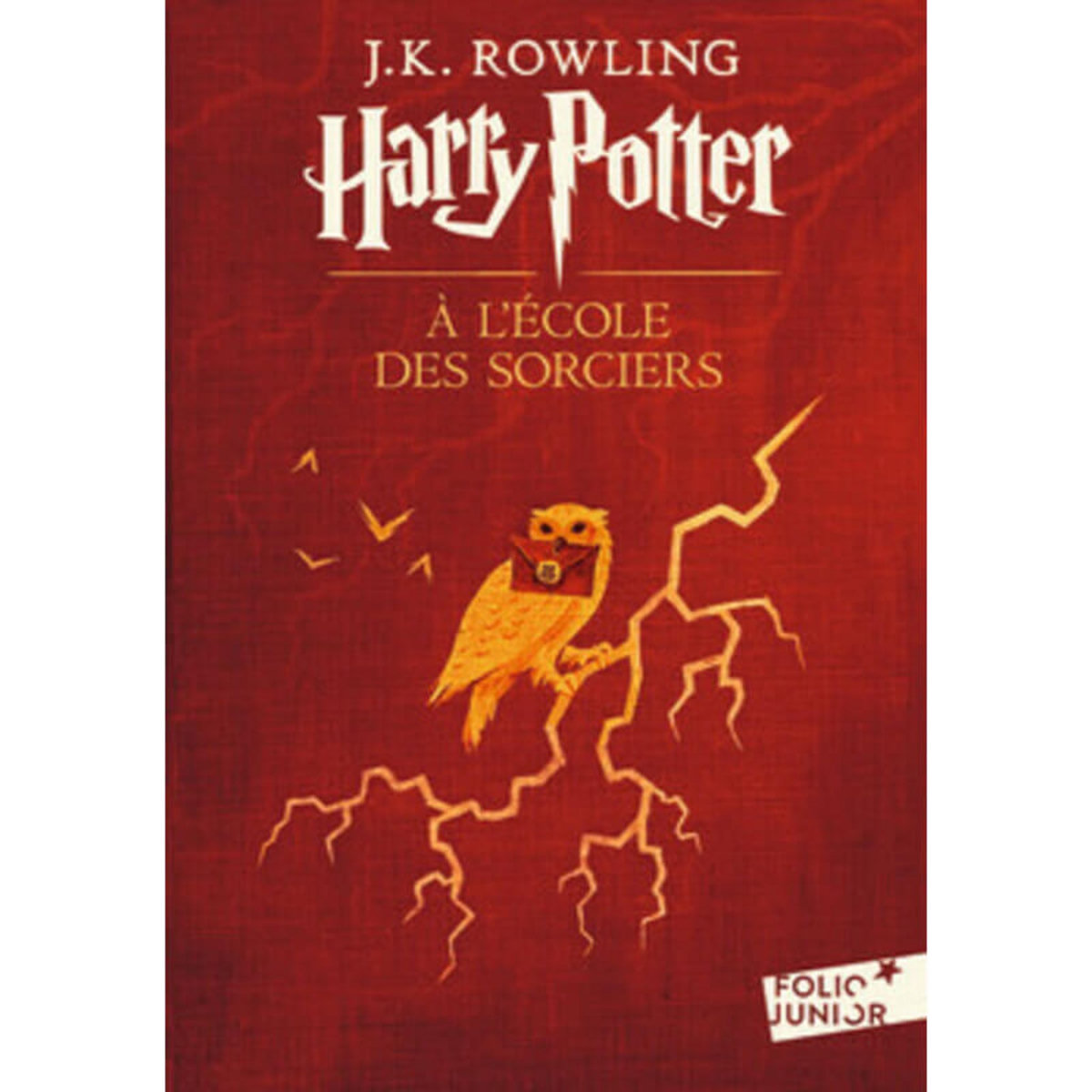  Harry Potter à l'école des sorciers