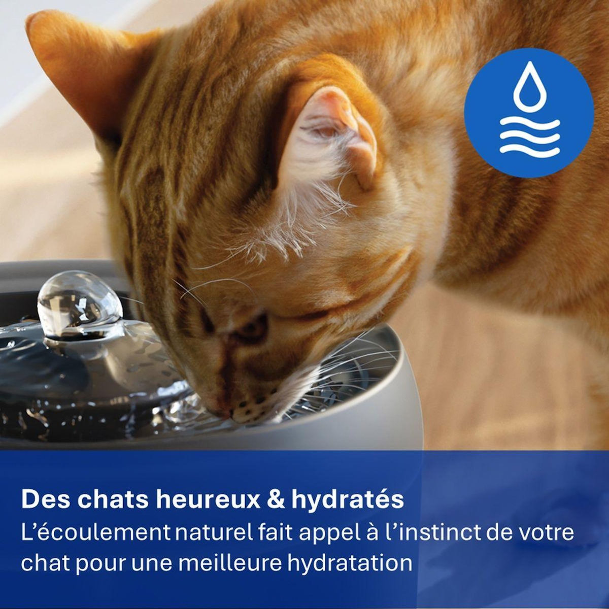 Philips Fontaine à eau silencieuse Série Pet PAW3210/02 automatique noire 2.2L