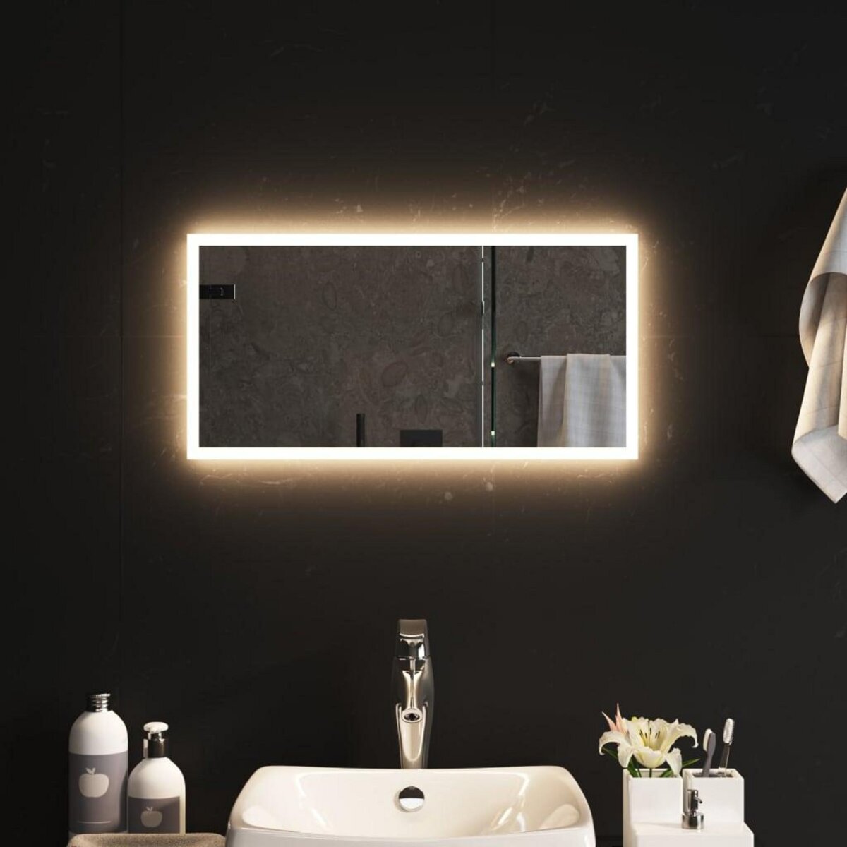 VIDAXL Miroir de salle de bain a LED 30x60 cm