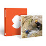 Voir la diapositive 1 : Smartbox Activité découverte de canyons en duo - Coffret Cadeau Sport & Aventure