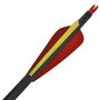 Voir la diapositive 3 : VIDAXL Flèche d arc recourbé standard 12 pcs 30 0,76 cm carbone