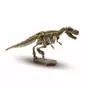 SES Creative Recherche ton Tyrannosaure - Explore
