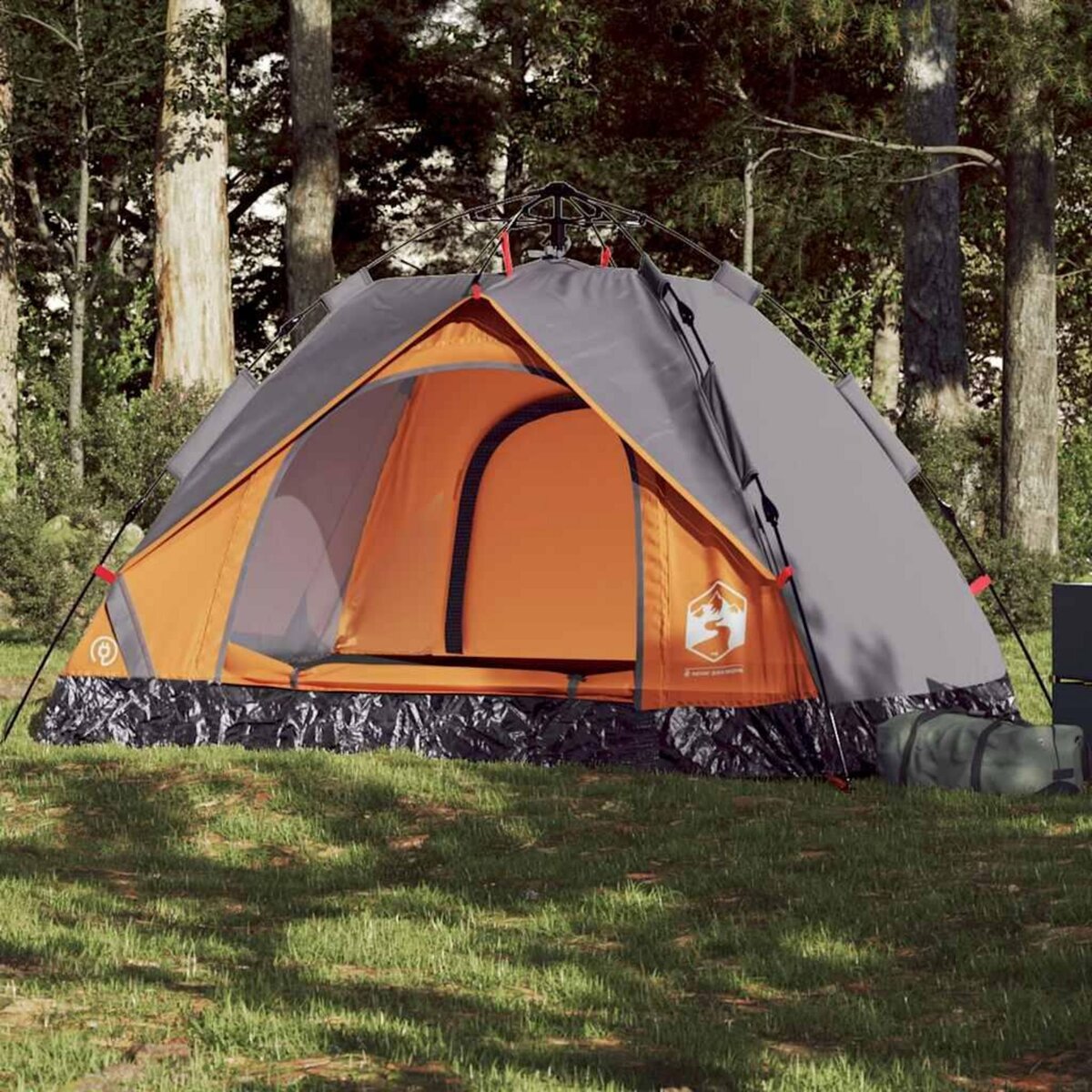VIDAXL Tente de camping a dome 2 personnes liberation rapide