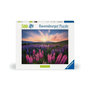 Voir la diapositive 2 : RAVENSBURGER Puzzle 500 pièces – Les Lupins – Ravensburger – Qualité supérieure – Dès 12 ans