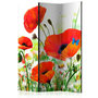 Voir la diapositive 1 : Paris Prix Paravent 3 Volets  Country Poppies  135x172cm