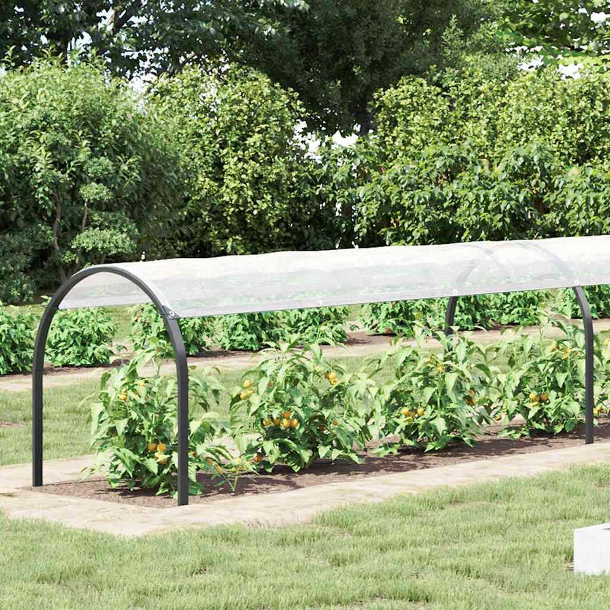 Voir la diapositive 2 : VIDAXL Housse de protection plantes avec œillets 2x4 m polyethylene