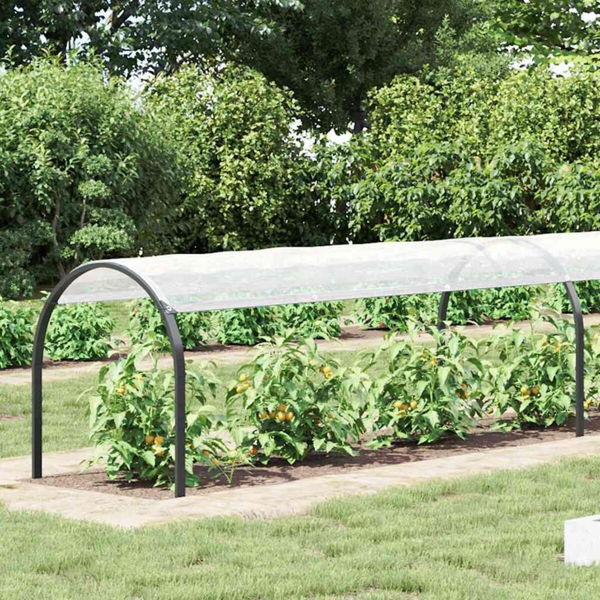 VIDAXL Housse de protection plantes avec œillets 2x4 m polyethylene