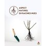  Rosier grimpant Indigoletta - La pièce en racine nue / 3 branches - Willemse