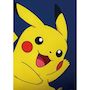 Voir la diapositive 3 : Pokemon Coussin double face - Carré - POKEMON - Poké-Ball et Starter - Microfibre - 40 x 40 cm