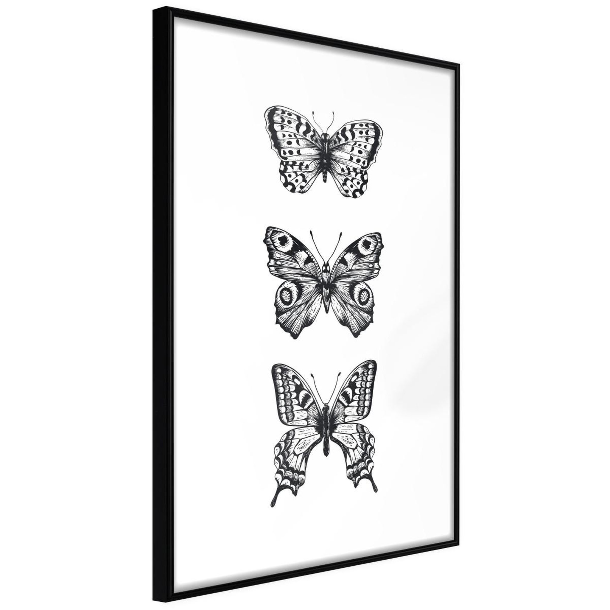 Paris Prix Affiche murale encadrée  butterfly collection iii