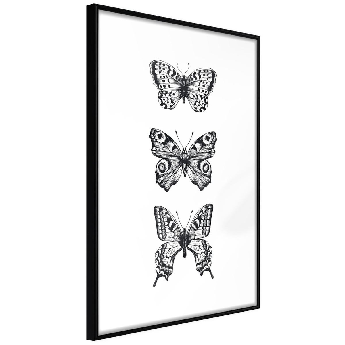 Paris Prix Affiche Murale Encadrée  Butterfly Collection III