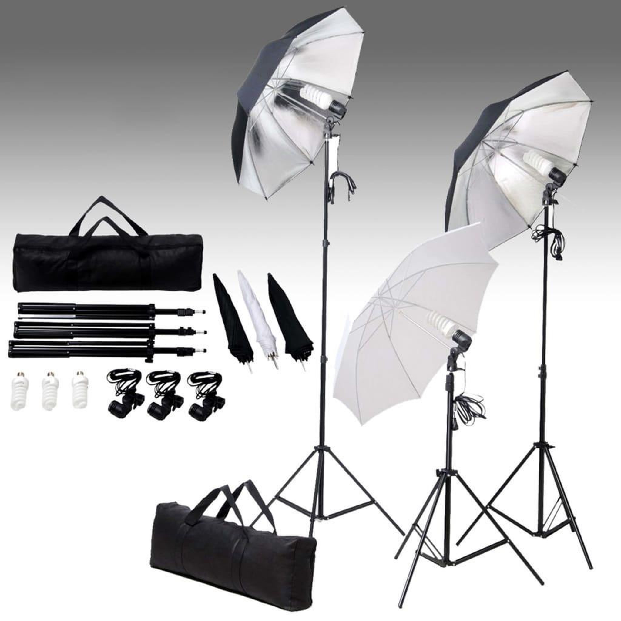 Voir la diapositive 2 : VIDAXL Kit de studio photo avec ensemble d'eclairage et toile de fond