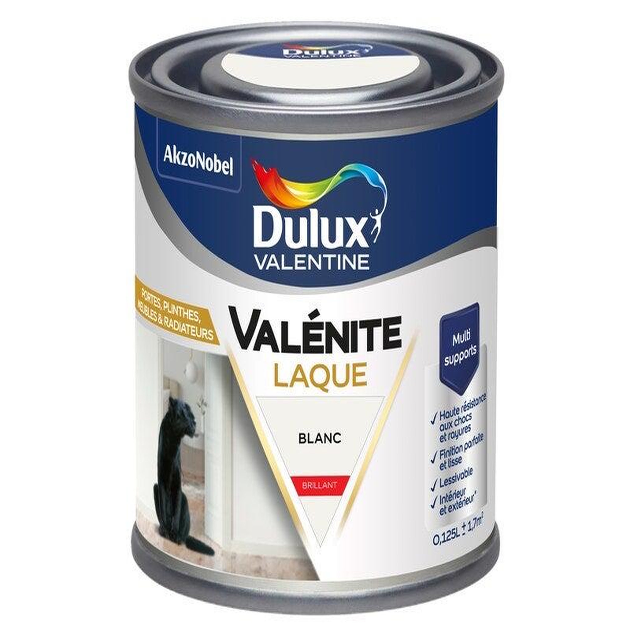 CENTRALE BRICO Peinture boiserie blanc brillant dulux valentine 0.125l