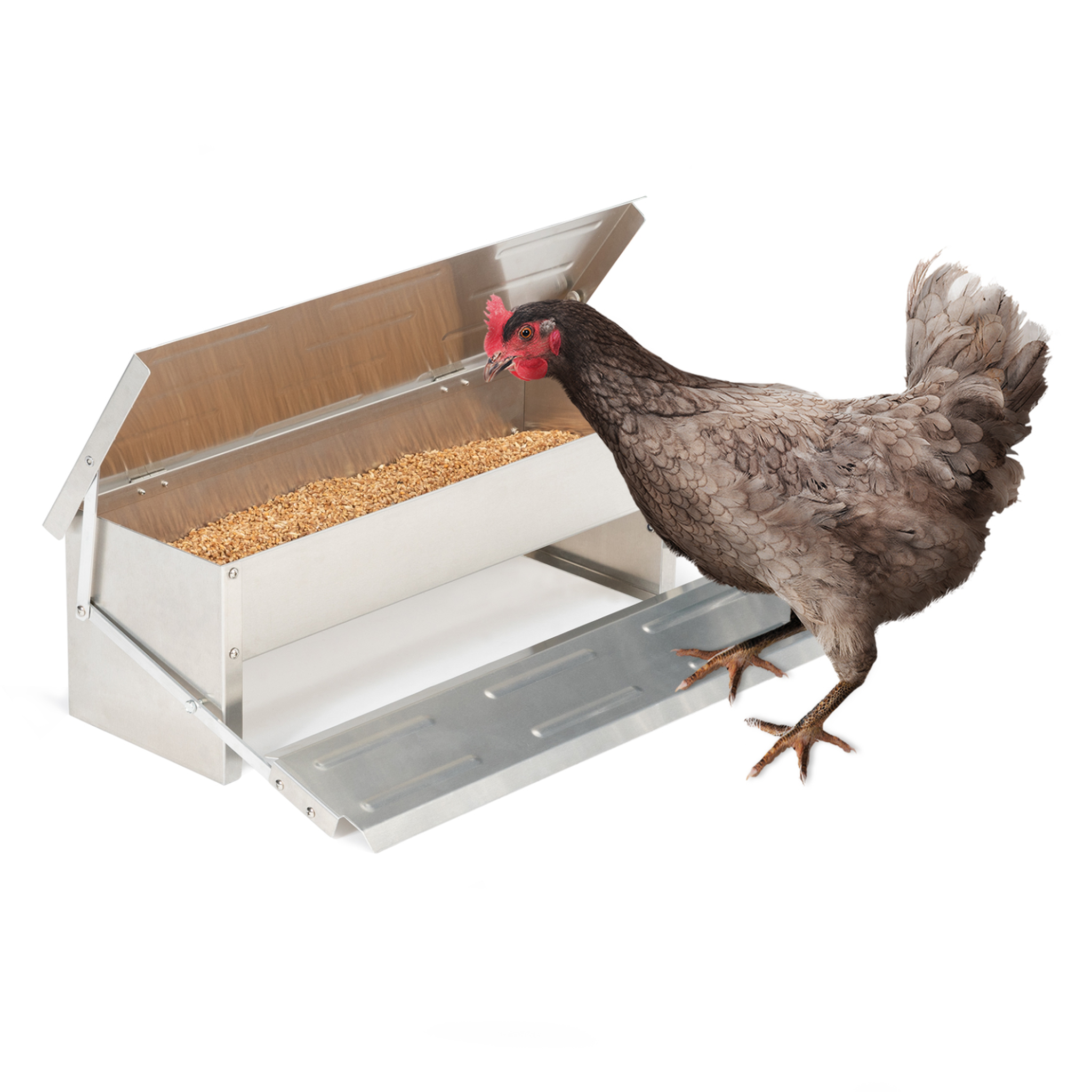 ID MARKET Mangeoire xl pour poules distributeur automatique à pédale en acier 5 kg