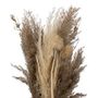 Voir la diapositive 2 : ATMOSPHERA Bouquet de Fleurs Séchées  Pampa  58cm Naturel