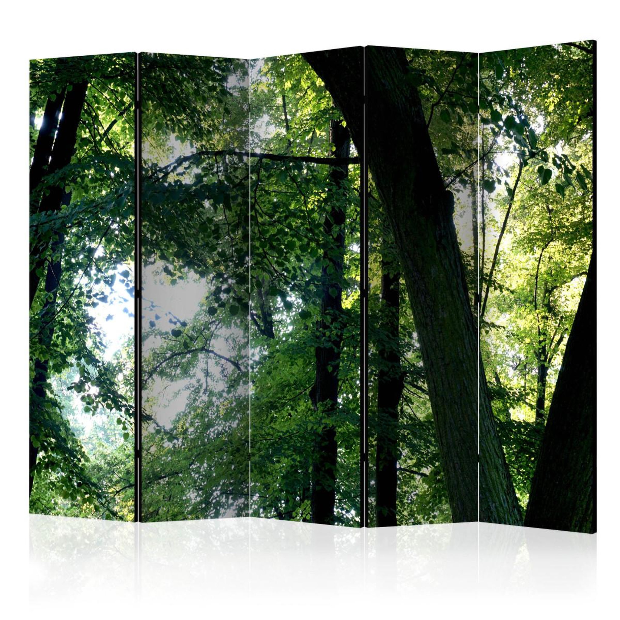 Paris Prix Paravent 5 volets  spring in the park  172x225cm