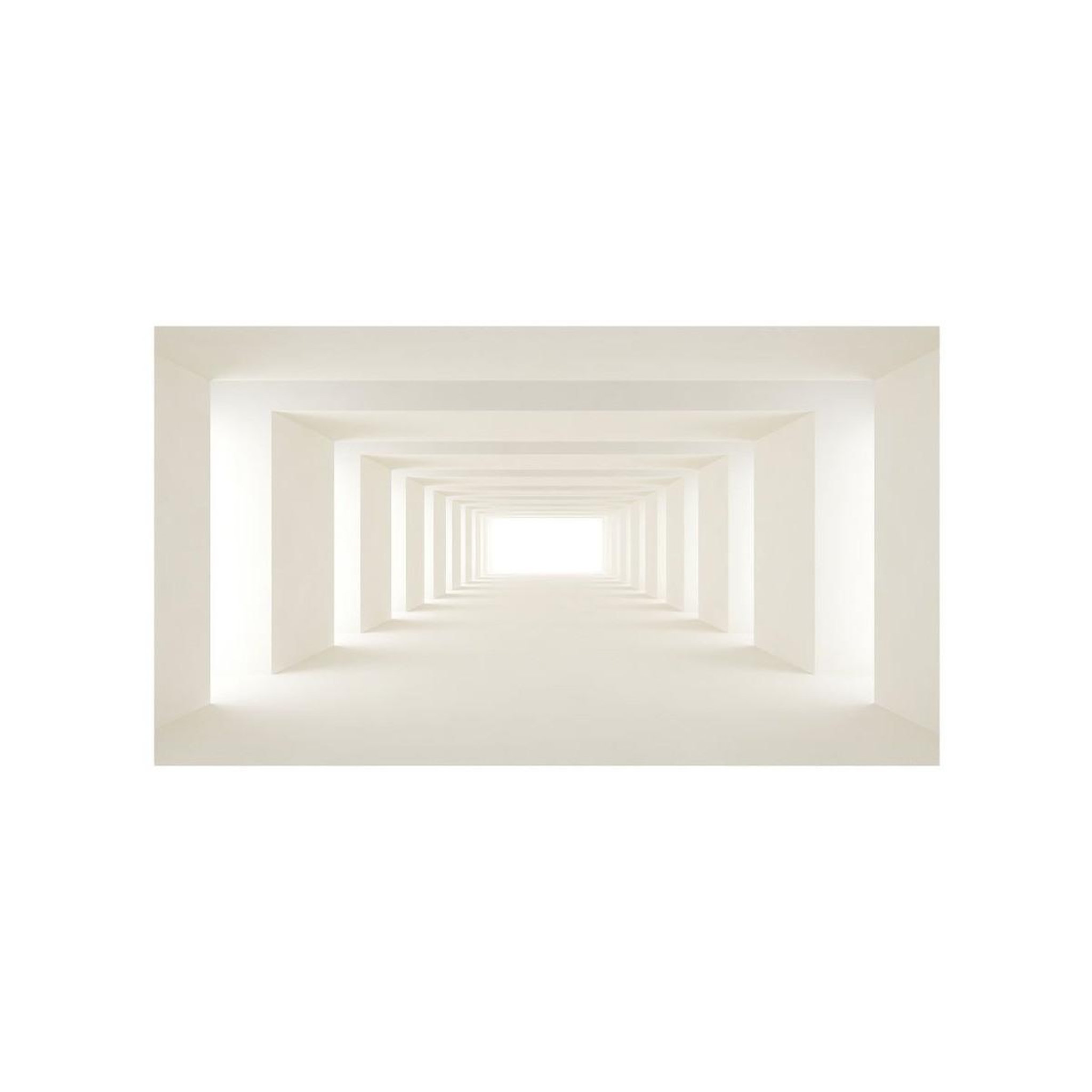 Voir la diapositive 2 : Paris Prix Papier peint xxl  into the light ii  280x500cm