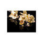 Voir la diapositive 2 : Paris Prix Papier Peint  Orchids in Ecru Color