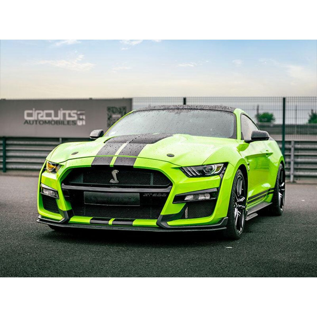 Smartbox Stage de pilotage : 4 tours sur le circuit de Nogaro en Ford Mustang Shelby GT500 - Coffret Cadeau Sport & Aventure
