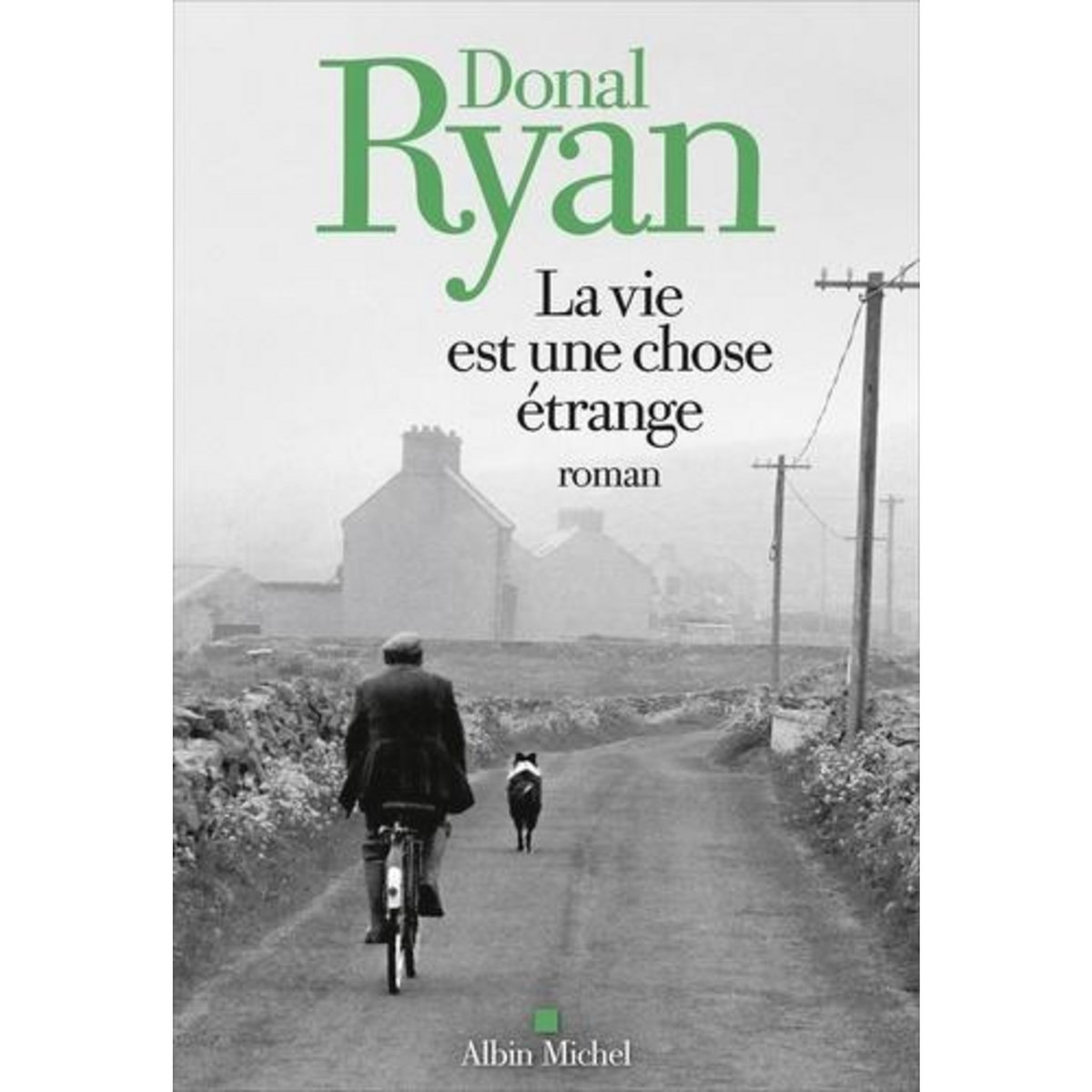 LA VIE EST UNE CHOSE ETRANGE, Ryan Donal