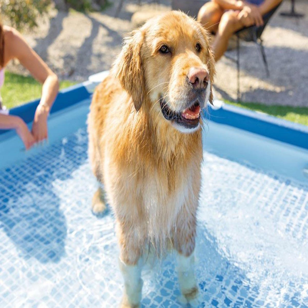 INTEX Piscine tubulaire carrée pour animaux - Intex