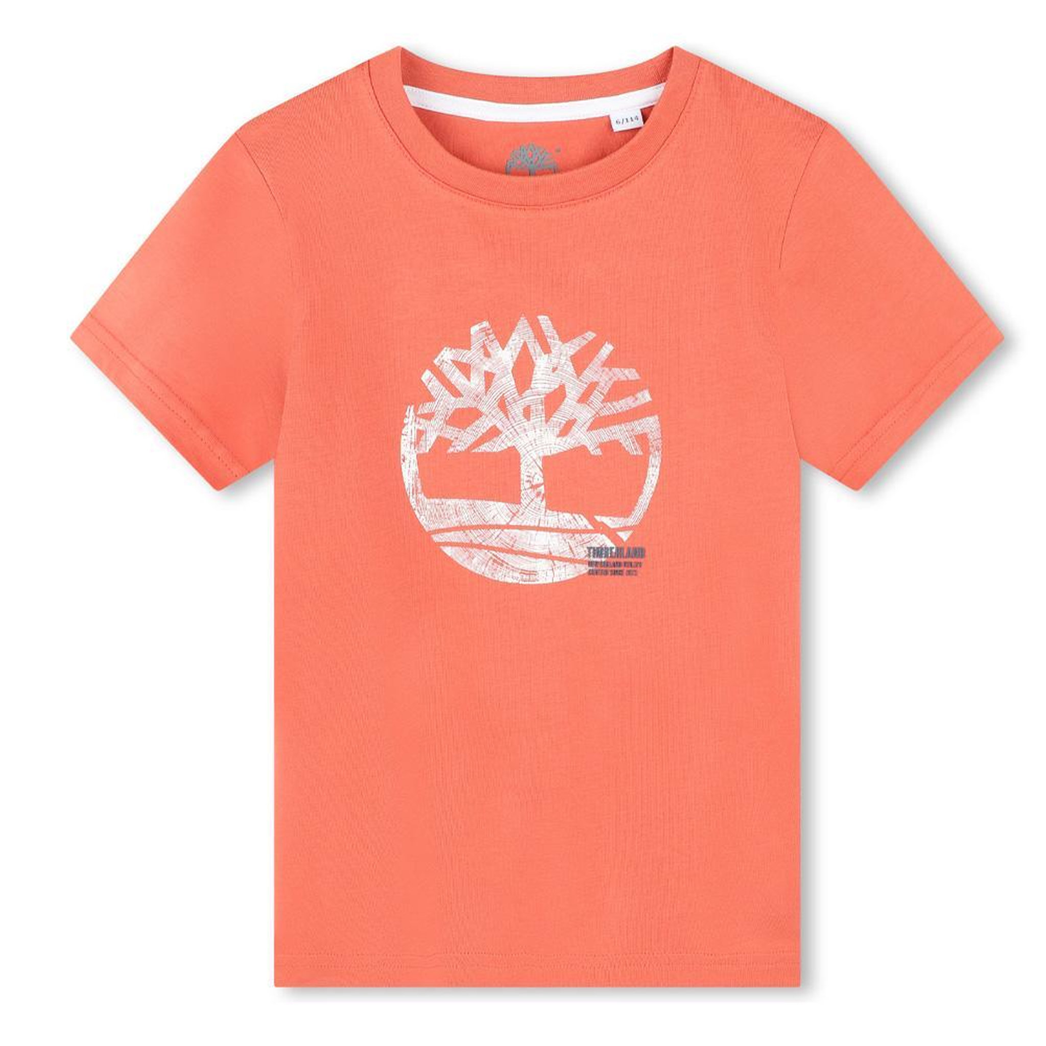 Voir la diapositive 1 : TIMBERLAND T-shirt Orange Garçon Timberland T60087