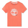Voir la diapositive 1 : TIMBERLAND T shirt  Garçon Timberland T60087