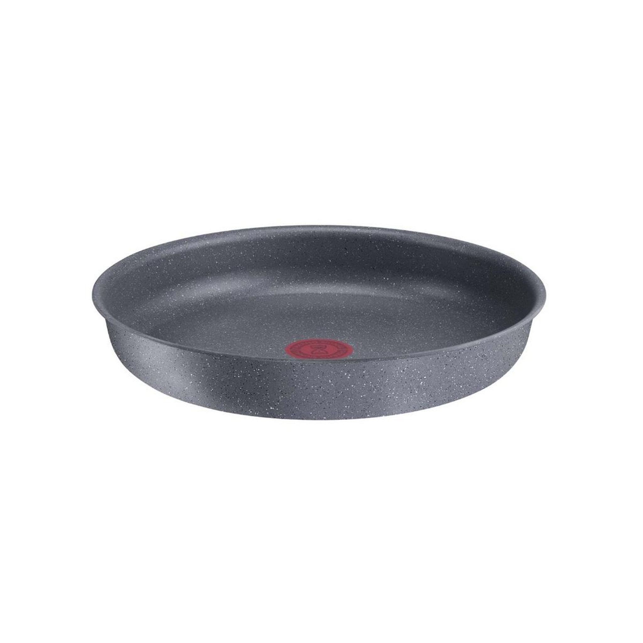 TEFAL Poêle aluminium 24cm - l3960402