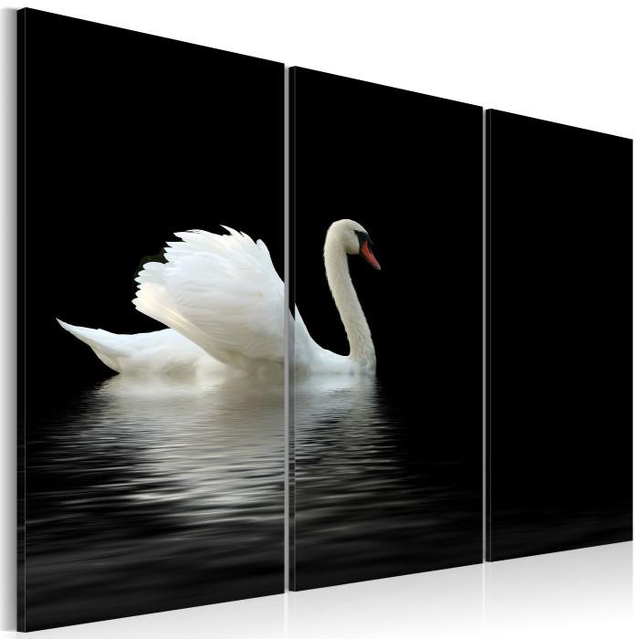 Paris Prix Tableau Imprimé  Cygne Seul. Coloris disponibles : Multicolore