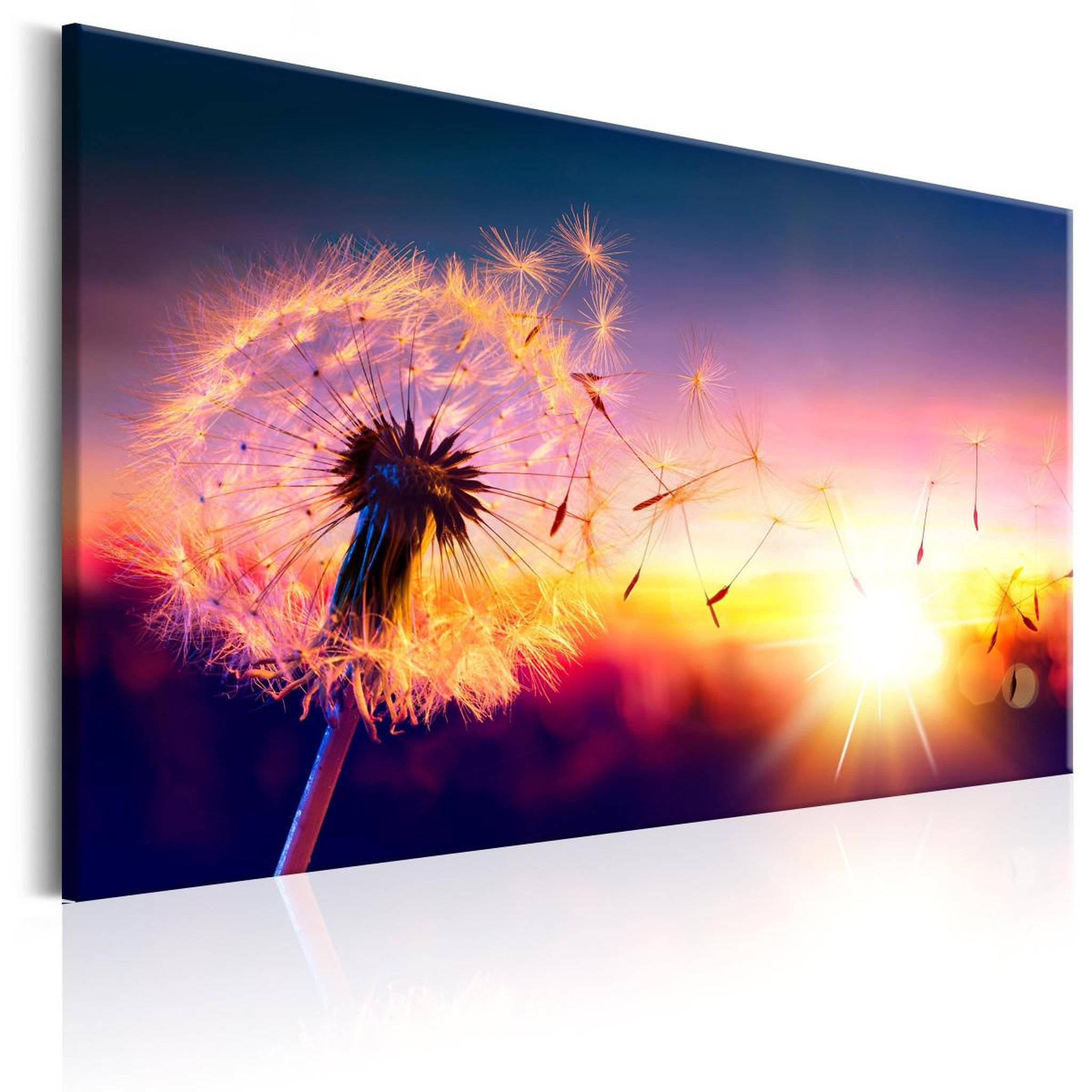 Paris Prix Tableau imprimé  freedom of nature. Coloris disponibles : Multicolore