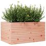 Voir la diapositive 4 : VIDAXL Jardiniere 90x60x45,5 cm bois massif de douglas