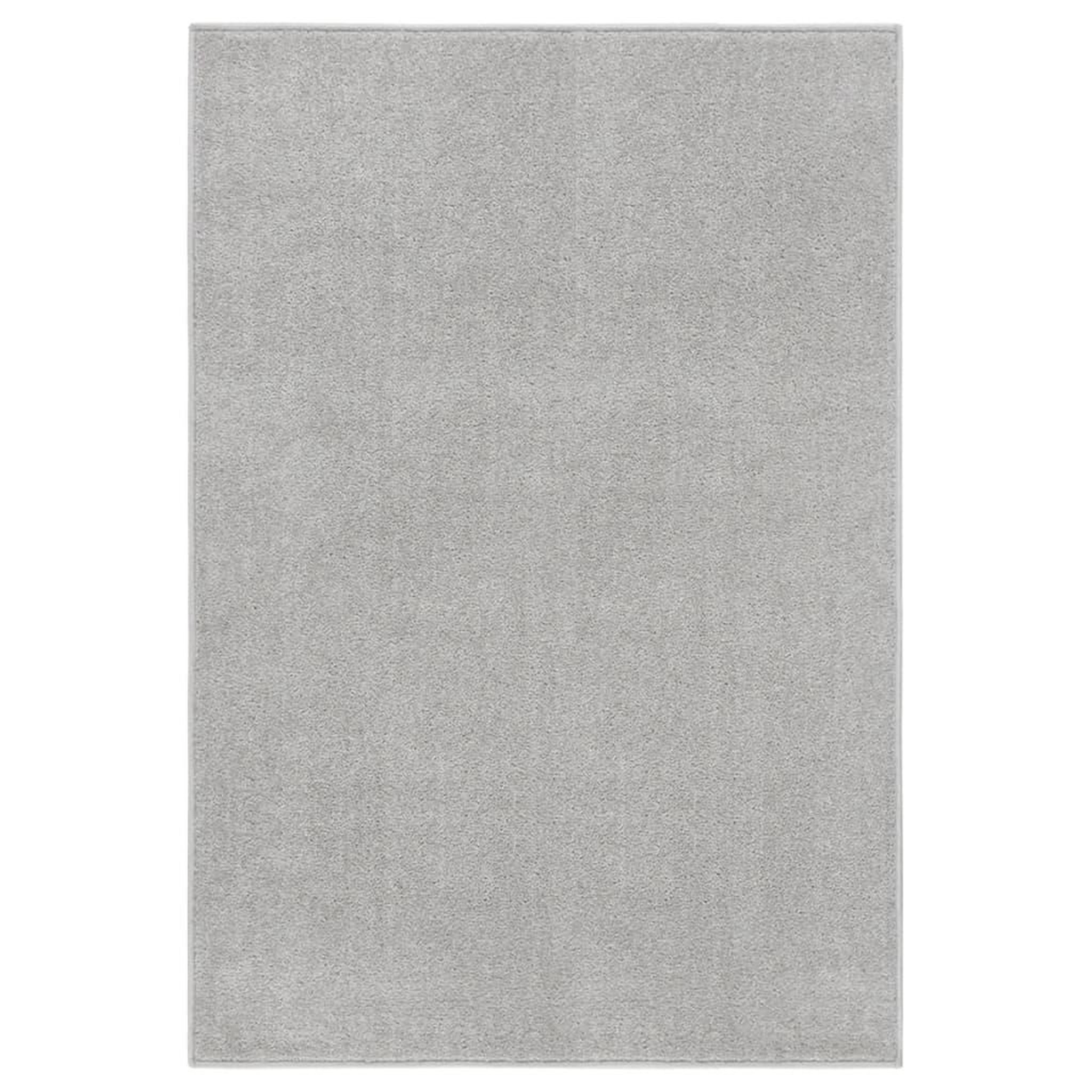 Voir la diapositive 1 : VIDAXL Tapis a poils courts 160x230 cm Gris clair