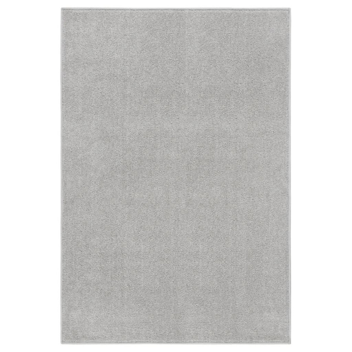VIDAXL Tapis a poils courts 160x230 cm Gris clair