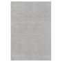 Voir la diapositive 1 : VIDAXL Tapis a poils courts 160x230 cm Gris clair