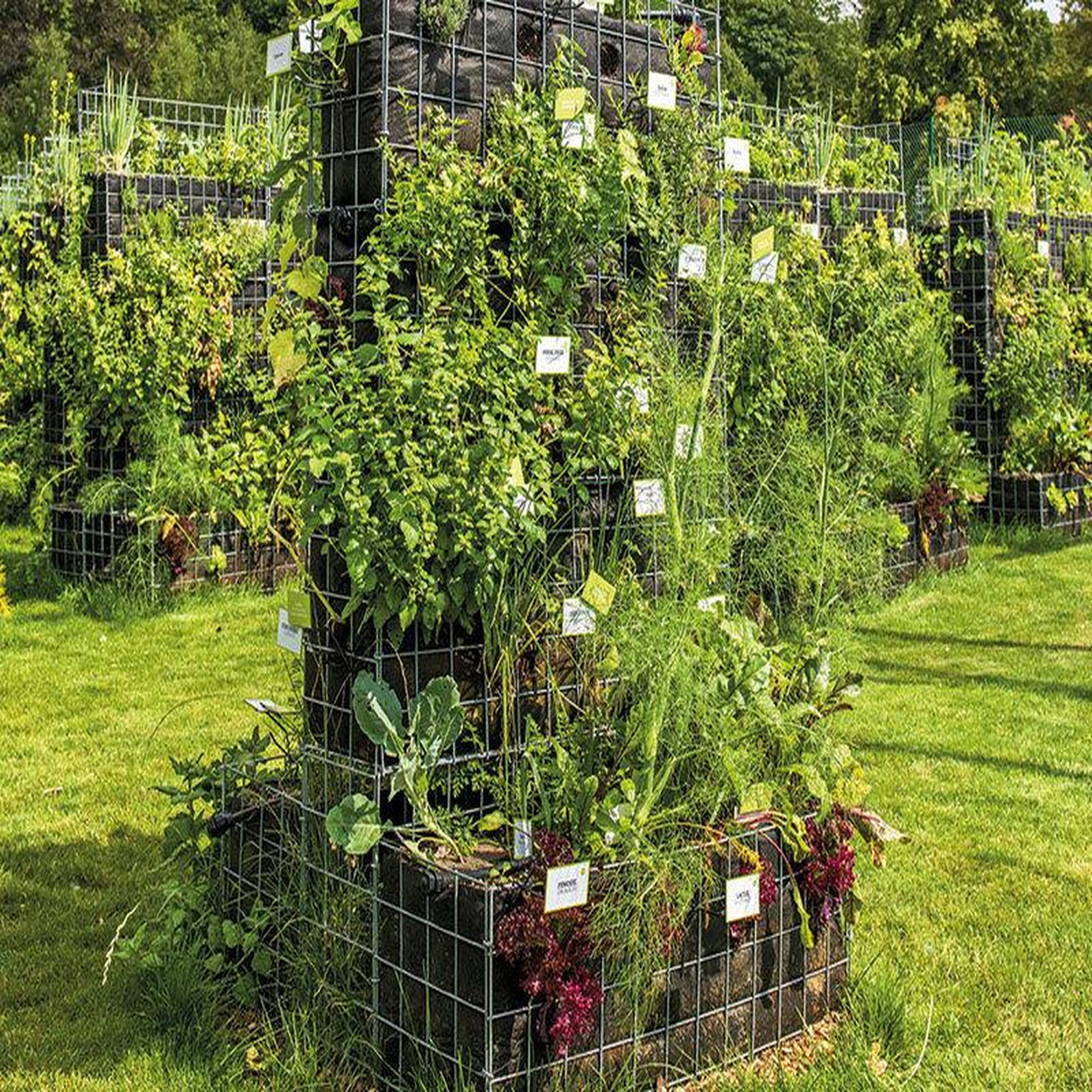Voir la diapositive 2 : Smartbox Mon potager à Paris - Coffret Cadeau Multi-thèmes
