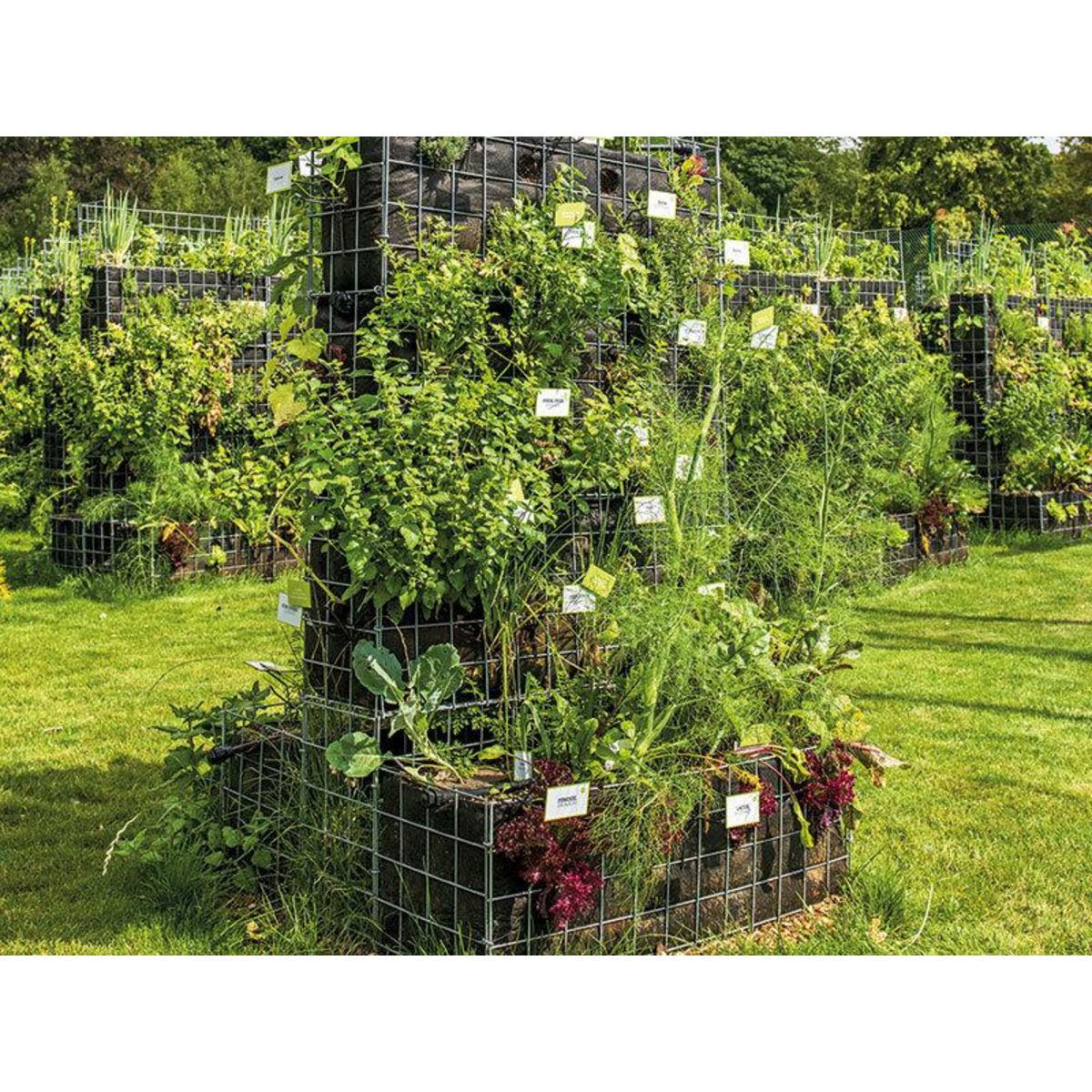 Smartbox Mon potager à Paris - Coffret Cadeau Multi-thèmes