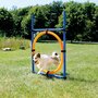 Trixie TRIXIE Cerceau d'agilite pour chiens 115 x 3cm plastique