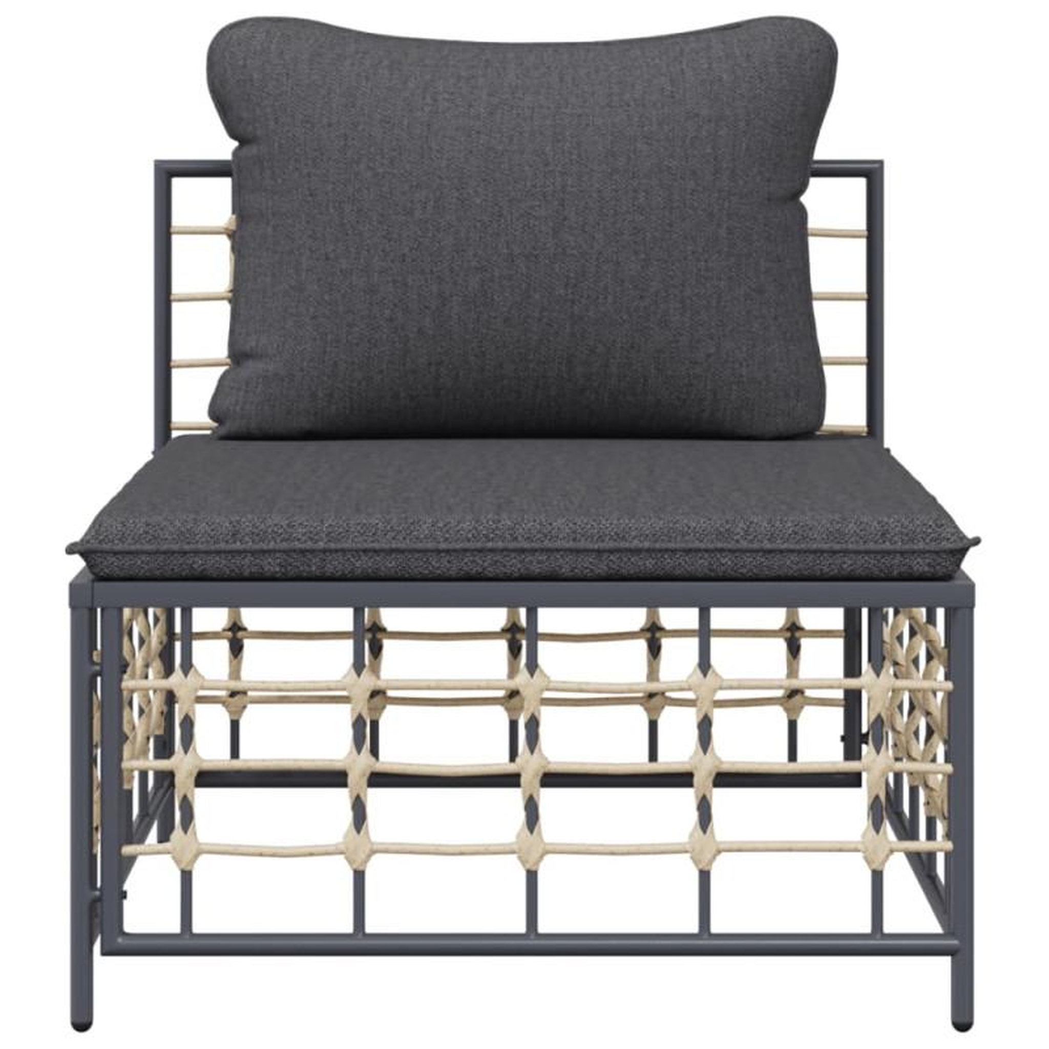 Voir la diapositive 3 : VIDAXL Canapé central de jardin avec coussin gris foncé résine tressée