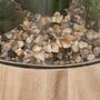 Voir la diapositive 3 : ATMOSPHERA Terrarium en Verre & Bois  Brito  17cm Transparent