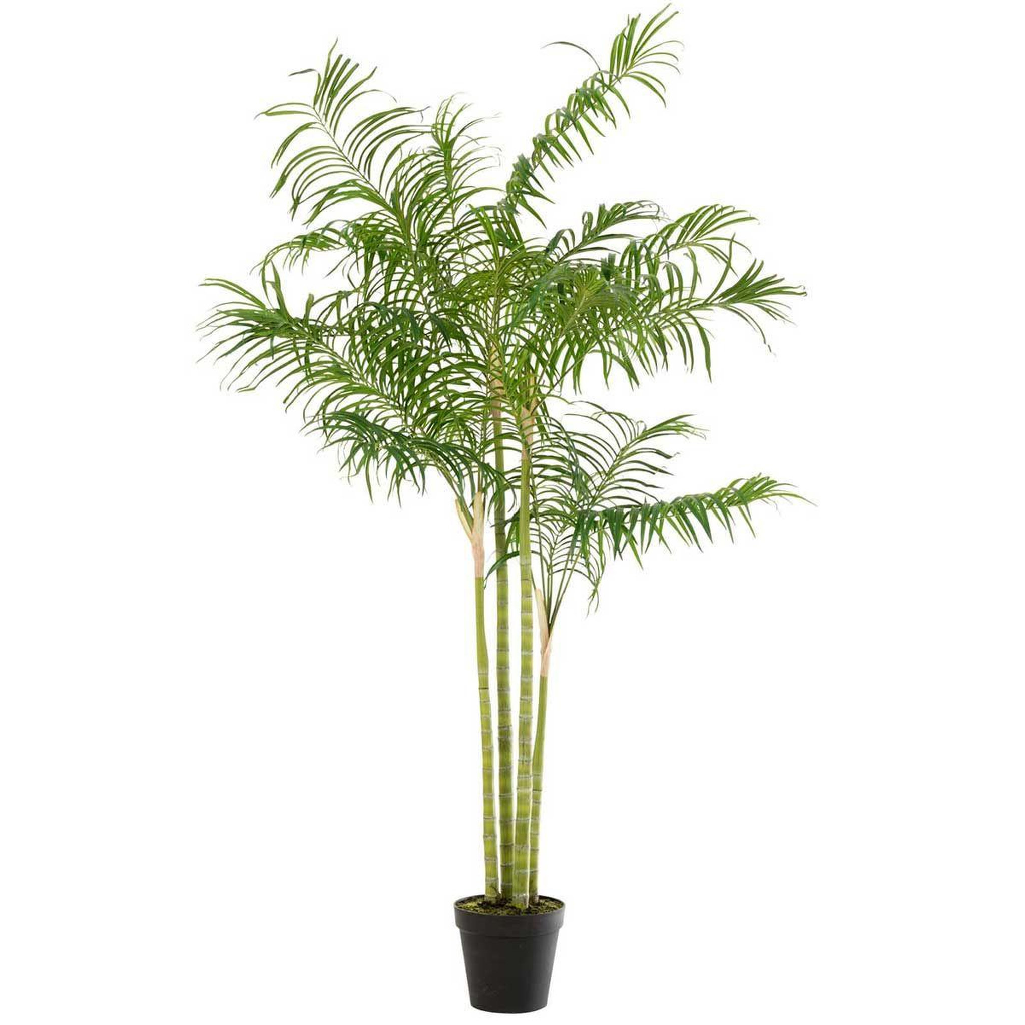 J-LINE Plante artificielle  palmier bambou  175cm vert