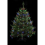 Voir la diapositive 2 : FEERIC LIGHT & CHRISTMAS Guirlande Lumineuse Extérieur  Robe  220cm Multicolore