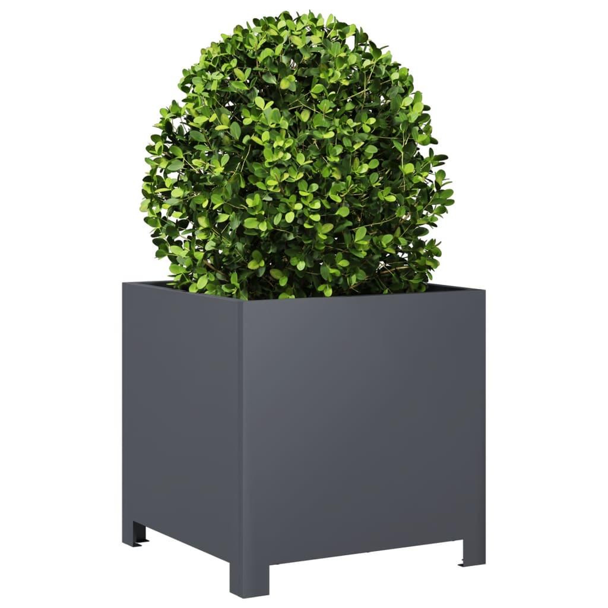Voir la diapositive 3 : VIDAXL Jardiniere anthracite 40x40x40 cm acier