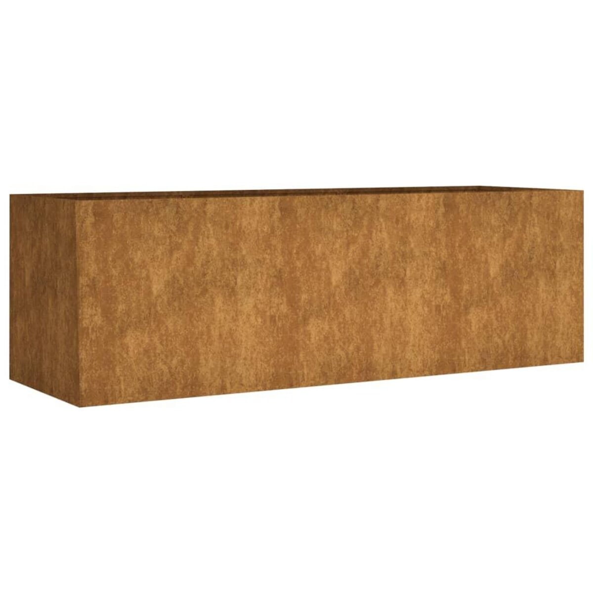 VIDAXL Lit sureleve de jardin 120x40x40 cm acier corten
