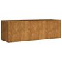Voir la diapositive 2 : VIDAXL Lit sureleve de jardin 120x40x40 cm acier corten