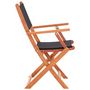 Voir la diapositive 4 : VIDAXL Chaises pliables de jardin lot de 2 Noir Eucalyptus textilene
