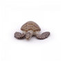 Voir la diapositive 2 : Papo 56005 Tortue caouanne figurine