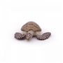 Voir la diapositive 2 : Papo 56005 Tortue caouanne figurine