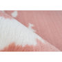 Voir la diapositive 3 : Paris Prix Tapis Imitation Fourrure  Rabbit  Rose & Blanc